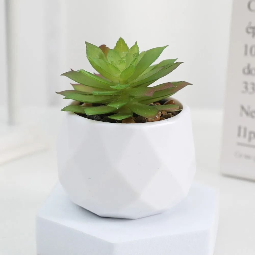 Evergreen Architectural Simulation Succulent Bonsai 9