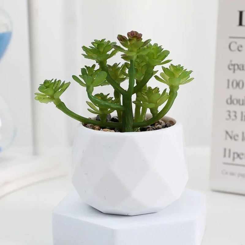 Evergreen Architectural Simulation Succulent Bonsai 11