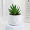 Evergreen Architectural Simulation Succulent Bonsai 14