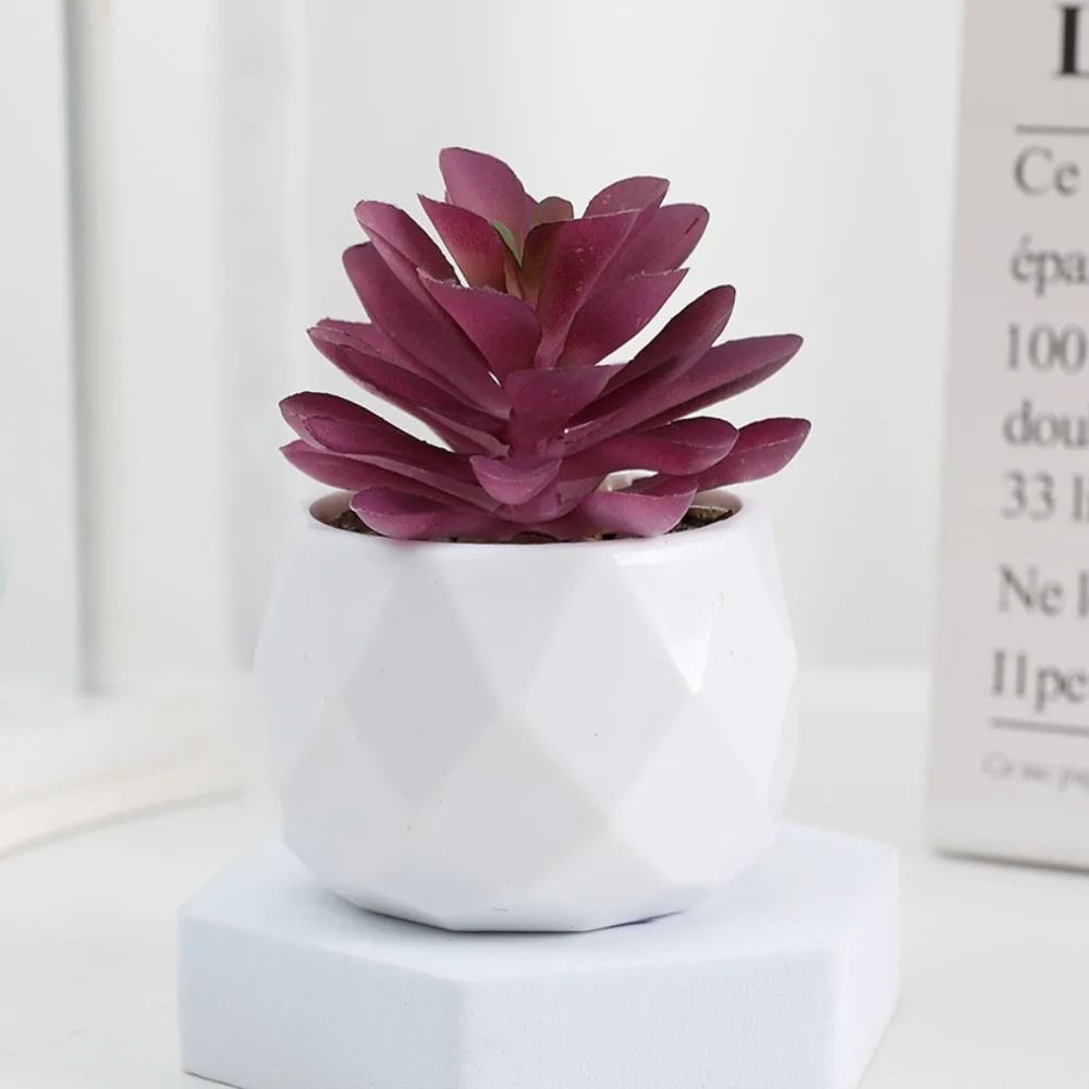 Evergreen Architectural Simulation Succulent Bonsai 15