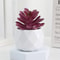 Evergreen Architectural Simulation Succulent Bonsai 15