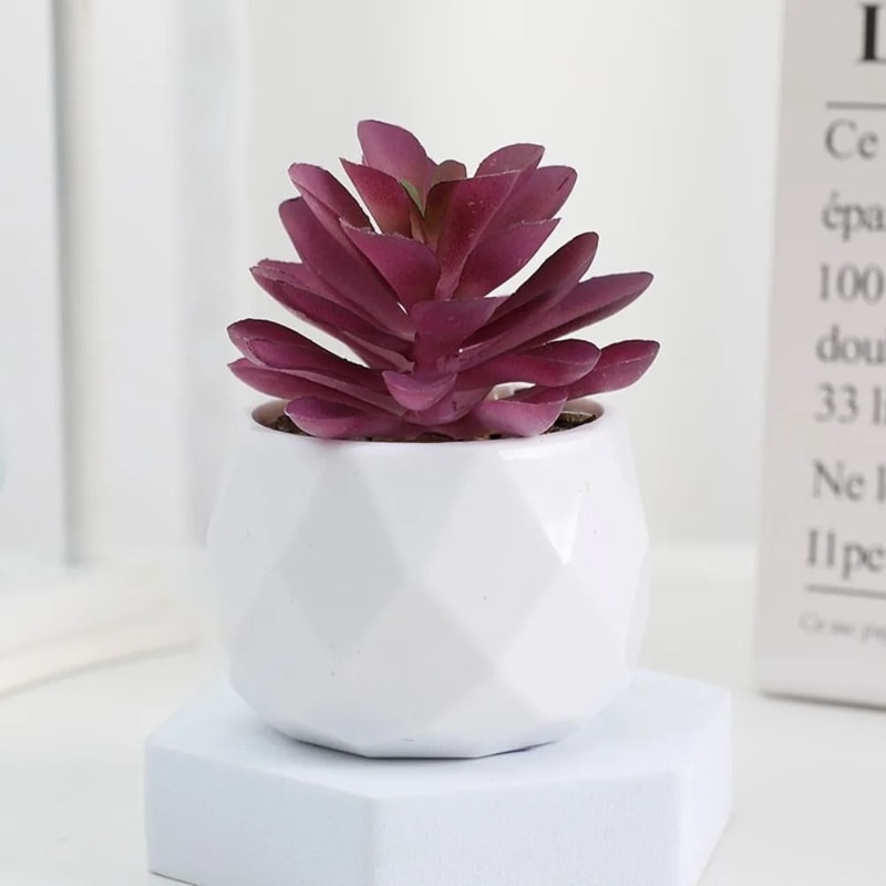 Evergreen Architectural Simulation Succulent Bonsai 15