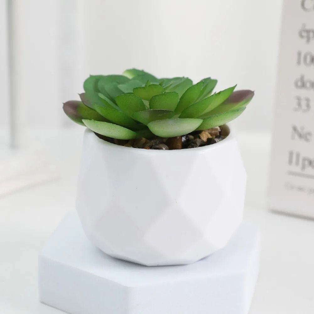 Evergreen Architectural Simulation Succulent Bonsai 3