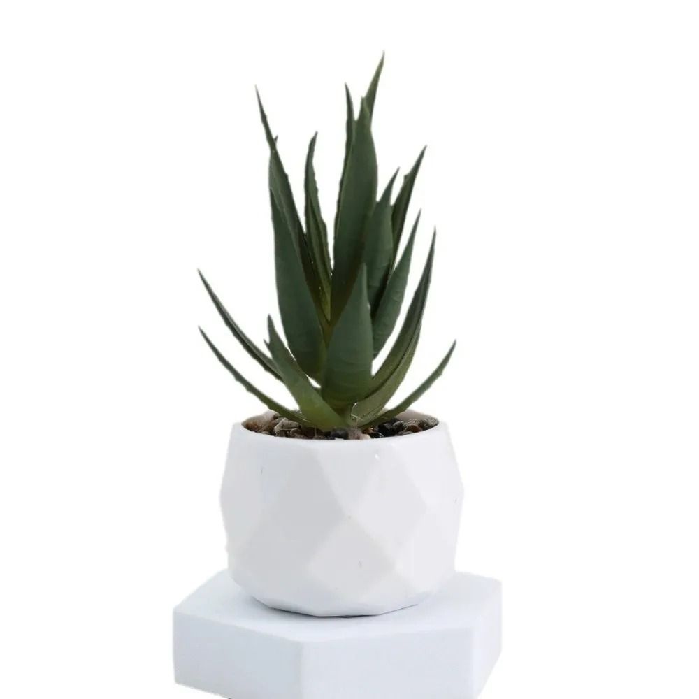 Evergreen Architectural Simulation Succulent Bonsai 4