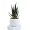 Evergreen Architectural Simulation Succulent Bonsai 4