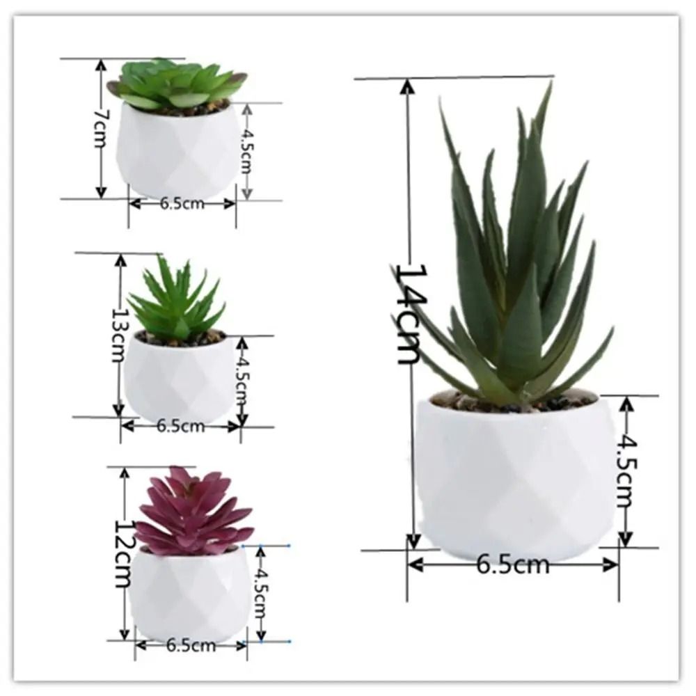 Evergreen Architectural Simulation Succulent Bonsai 5
