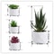 Evergreen Architectural Simulation Succulent Bonsai 5