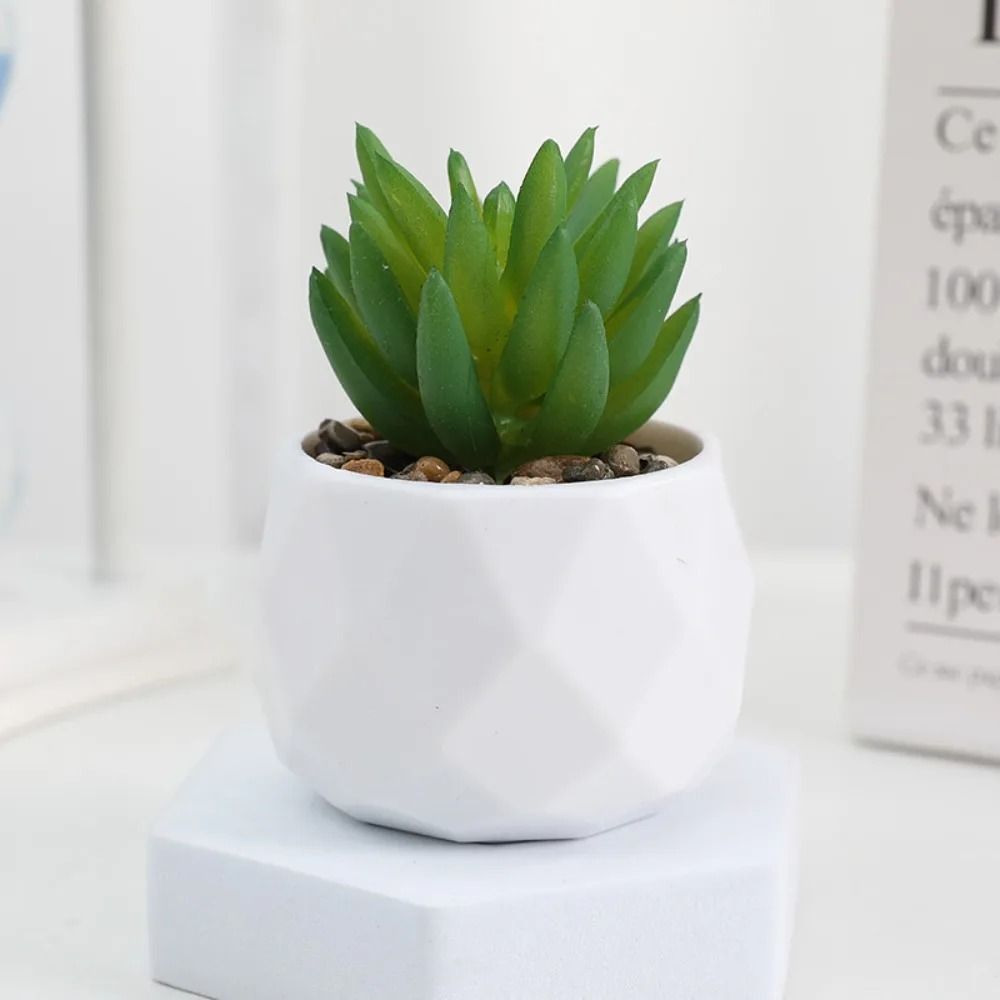 Evergreen Architectural Simulation Succulent Bonsai 7