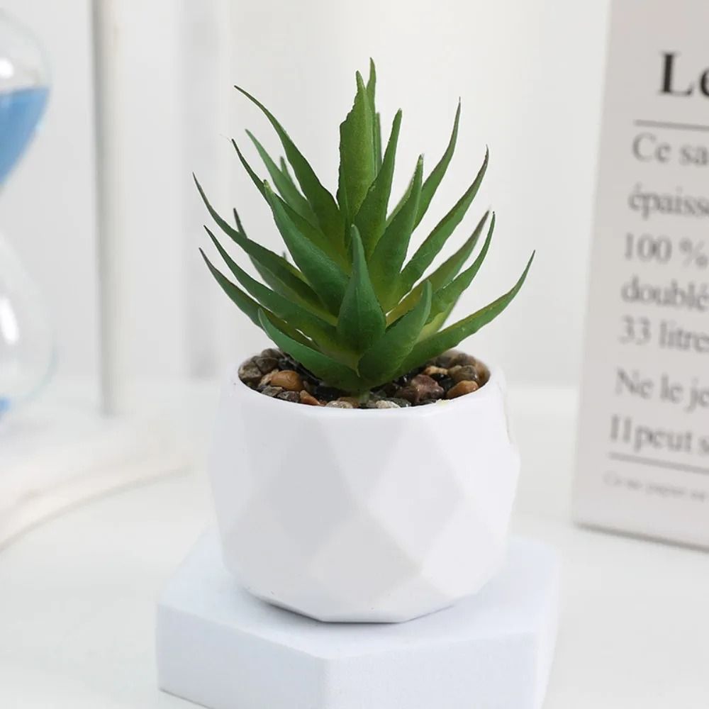 Evergreen Architectural Simulation Succulent Bonsai 8