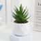 Evergreen Architectural Simulation Succulent Bonsai 8