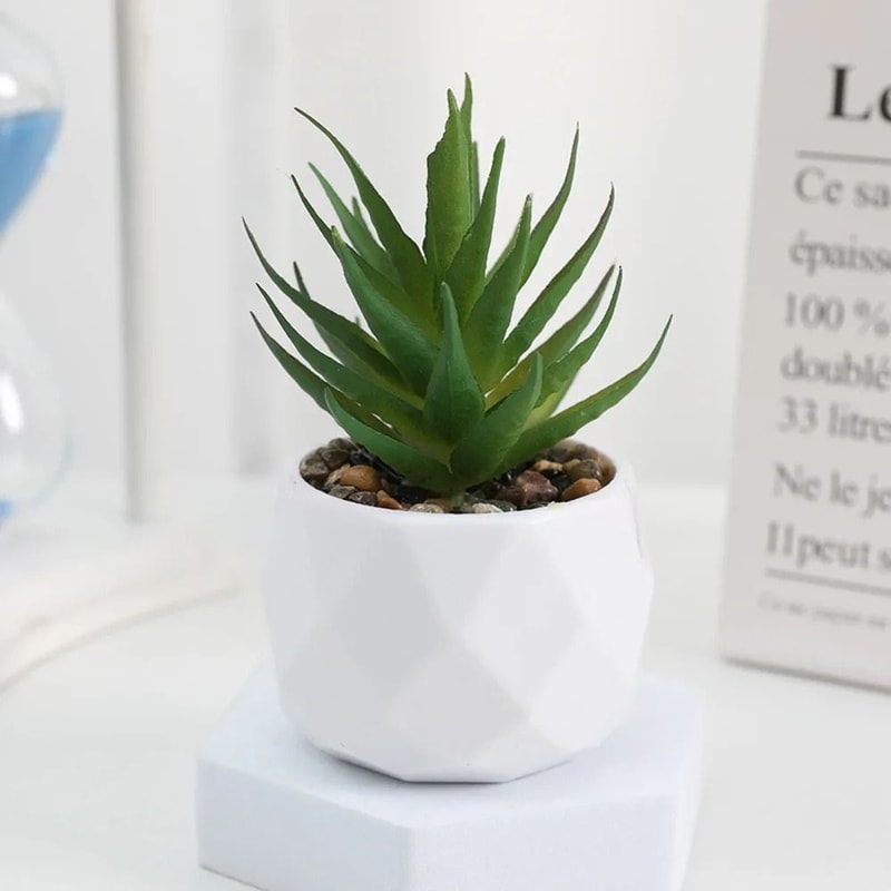 Evergreen Architectural Simulation Succulent Bonsai 8
