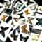 Natural Architectural Real Butterfly Specimen Collection 1