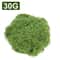 Botanical Architectural Eternal Life Simulated Moss 6