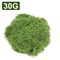 Botanical Architectural Eternal Life Simulated Moss 6
