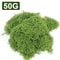 Botanical Architectural Eternal Life Simulated Moss 7