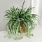 Hanging Artificial Orchid Leaf Greenery 0