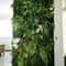 Artificial Boxwood Hedge Grass Panel 1