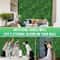 Artificial Boxwood Hedge Grass Panel 5