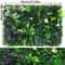 Artificial Boxwood Hedge Grass Panel 7
