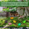 Miniature Luminous Resin Frog Collection 4