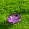 Miniature Luminous Resin Frog Collection 5