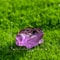 Miniature Luminous Resin Frog Collection 5