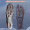 4D Cloud Technology Insole - Super Soft! 3