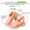Washable Slingback Orthopedic Slide Sport Sandals  Comfortable Mesh Sandals For Women 4