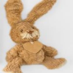 lymphatic drainage ginger foot patch