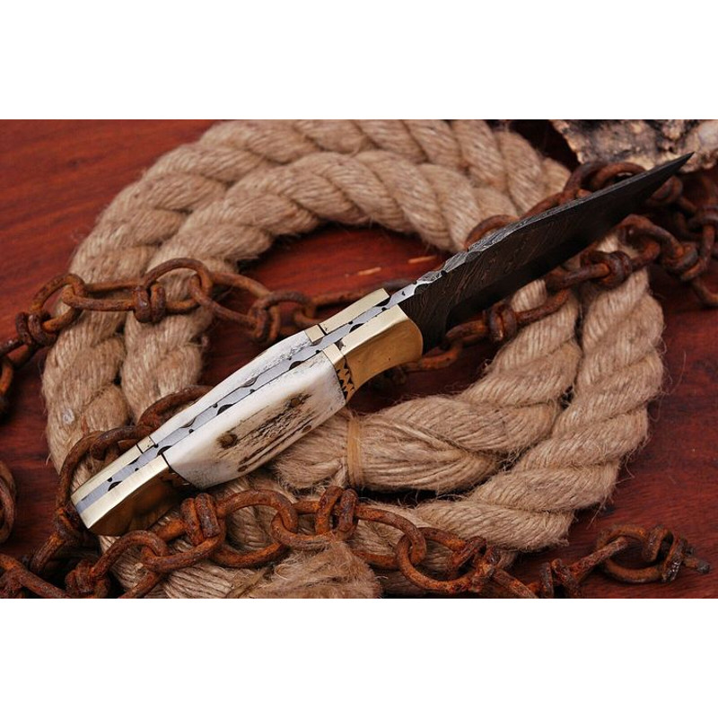 Handmade Twist Damascus Hunting Skinning Knife  Natural Sambar Stag Handle With Brass Bolsters  Fre 1