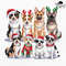 Christmas Dogs Santa Hat Sublimation Png Christmas Dogs Png Christmas Png Dog Png Dog Lover Png Hol 0