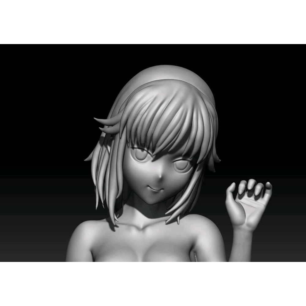 Lady Anita Anime HighQuality 3D STL File For 3D Printing Digital Download 0