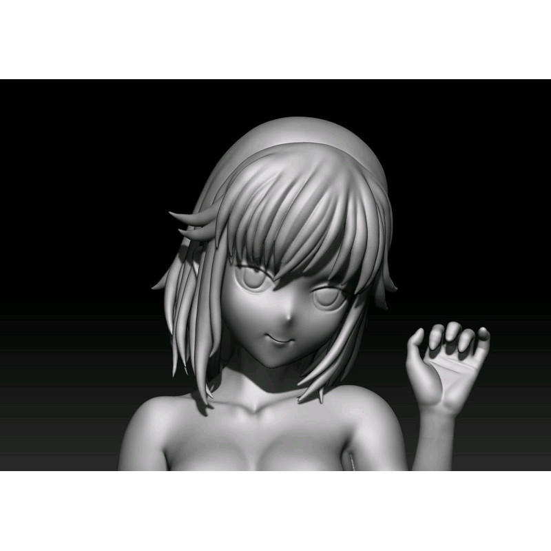 Lady Anita Anime HighQuality 3D STL File For 3D Printing Digital Download 0