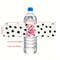 Personalized Water Bottle Laber, Custom Wedding Welcome Label, Print Water Bottle Stickers, Event and Part Wraps