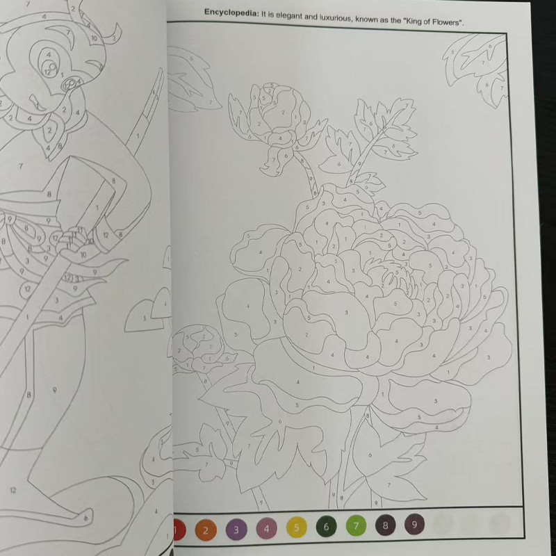 Fun Coloring Book for Beginners, Sketching and Graffiti Activities to Draw Animals, Flowers, and Castles for Children