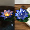 LED Lotus Floating Night Lamp Water Sensor Flower Light For Garden Ponds Tanks Festive Party Decor 15