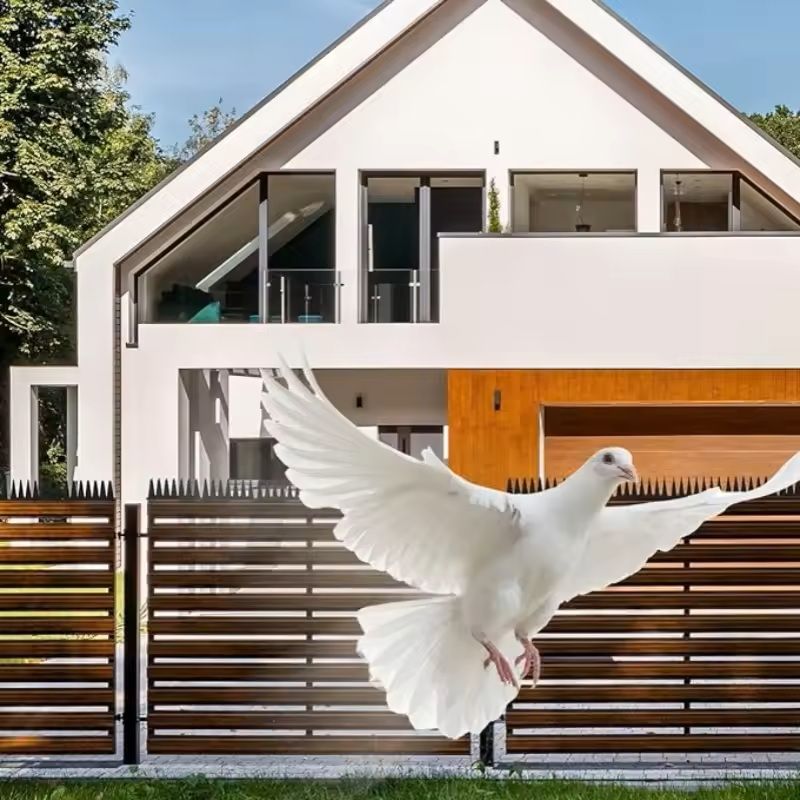 12Piece Plastic Bird Deterrent Spikes Fence Wall AntiClimb AntiRoost Strips Pigeon Animal Repell 2