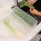 Airtight Refrigerator Storage Boxes With Lid Scallion Vegetable FreshKeeping Fridge Organizer 2