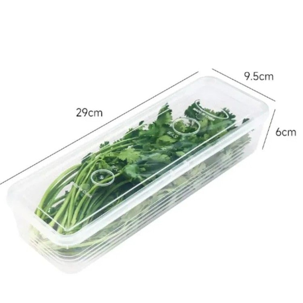 Airtight Refrigerator Storage Boxes With Lid Scallion Vegetable FreshKeeping Fridge Organizer 6