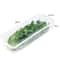 Airtight Refrigerator Storage Boxes With Lid Scallion Vegetable FreshKeeping Fridge Organizer 6