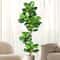 Artificial Ficus Tree Large Fake Rubber Plant Branch With Fiddle Leaves For Home Garden Decor 0