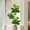 Artificial Ficus Tree Large Fake Rubber Plant Branch With Fiddle Leaves For Home Garden Decor 2