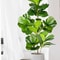 Artificial Ficus Tree Large Fake Rubber Plant Branch With Fiddle Leaves For Home Garden Decor 3