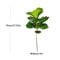 Artificial Ficus Tree Large Fake Rubber Plant Branch With Fiddle Leaves For Home Garden Decor 6