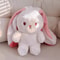 Transformable Bunny Plush Toy Cute Strawberry Carrot Rabbit Stuffed Doll For Kids 3