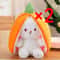 Transformable Bunny Plush Toy Cute Strawberry Carrot Rabbit Stuffed Doll For Kids 11