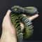 3D Printed Articulated Snake Fidget Toy Movable Joint Desk Ornament Stress Relief Gift 2025 10