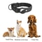 AirTag Dog Collar With Holder Reflective Adjustable Padded Pet Collar For Small Medium Large Dogs 4