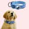 AirTag Dog Collar With Holder Reflective Adjustable Padded Pet Collar For Small Medium Large Dogs 17