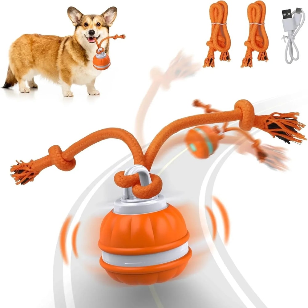 Interactive MotionActivated Dog Ball Automatic Rolling USB Rechargeable Toy For Puppies Small 0